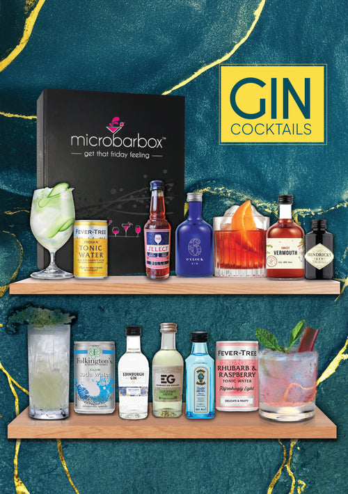 Gin Cocktail Gift Set